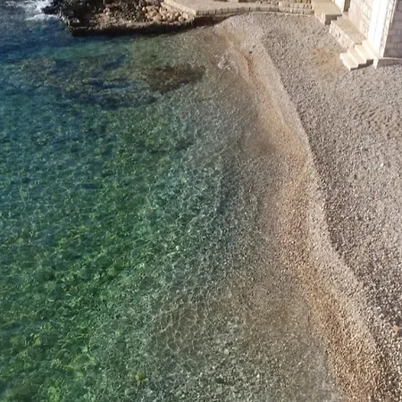 Touri Venix